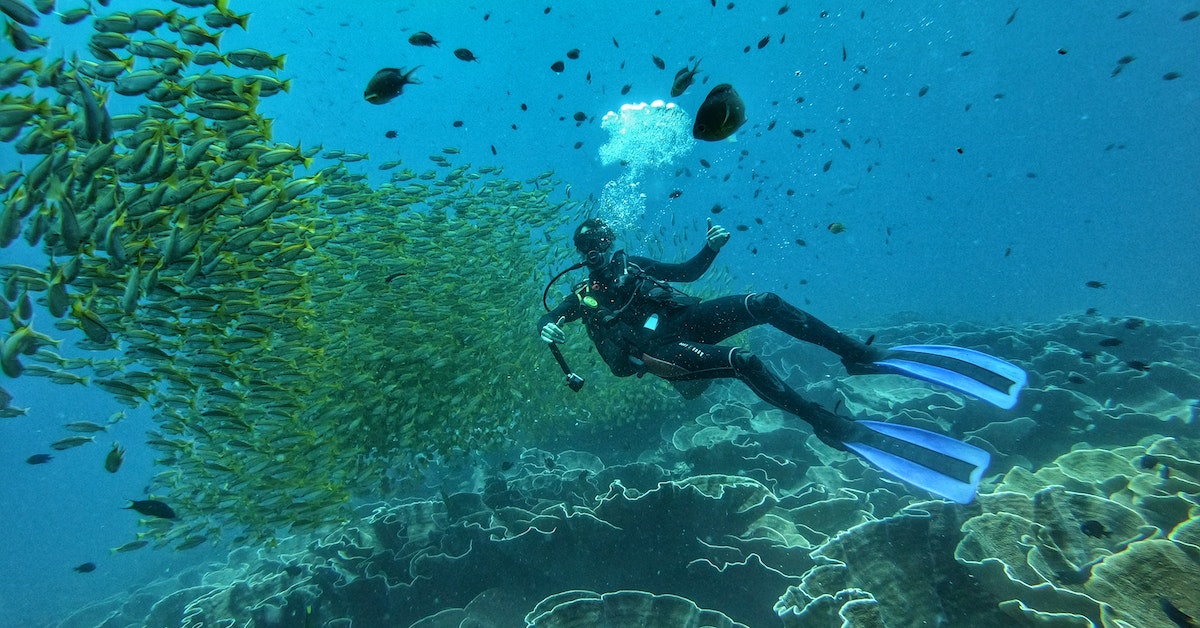 Diving El Nido